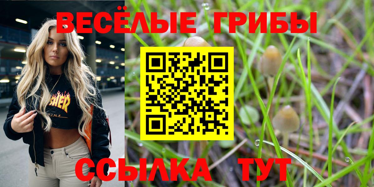 Галлюциногенные грибы мухоморы Каспийск